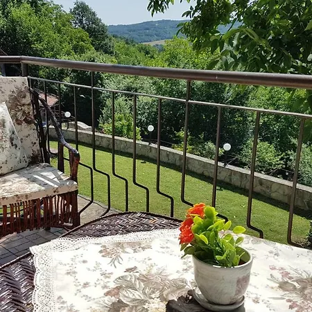 Rosarium Penzion Drjanovo