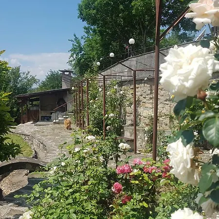 Rosarium 3*